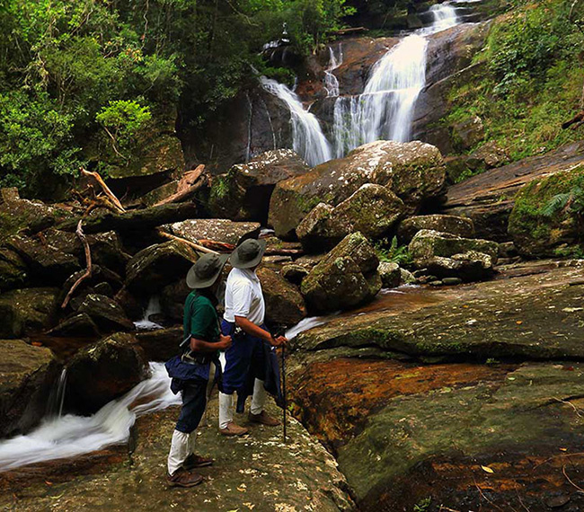 Sinharaja Forest Reserve