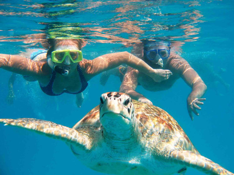 Snorkeling
